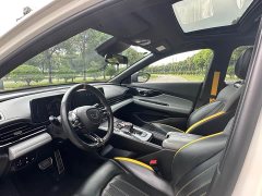 Trumpchi Shadow Leopard 2021 270T DCT J15 version - фото 12