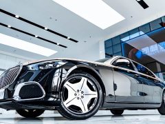Maybach S-Class S 480 4MATIC - фото 3