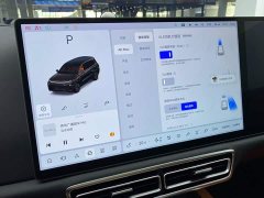 Li Auto Li L9 2022 Max - фото 17