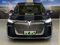 Voyah Dream 2025 PHEV AWD Flagship Kunpeng Edition - фото 3