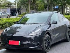 Tesla Model Y Standard Range Rear-Wheel Drive - фото 1