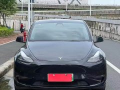 Tesla Model Y Standard Range Rear-Wheel Drive - фото 2