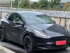 Tesla Model Y Standard Range Rear-Wheel Drive - фото 3