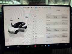 Tesla Model 3 facelift, long-range all-wheel drive version - фото 10