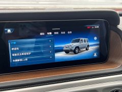 Mercedes-Benz G 450 d - фото 11