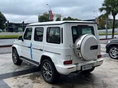 Mercedes-Benz G 450 d - фото 19