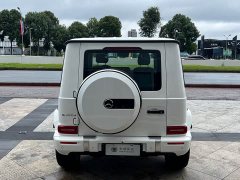 Mercedes-Benz G 450 d - фото 20