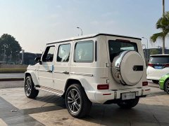 Mercedes-Benz G 450 d - фото 18
