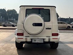 Mercedes-Benz G 450 d - фото 20