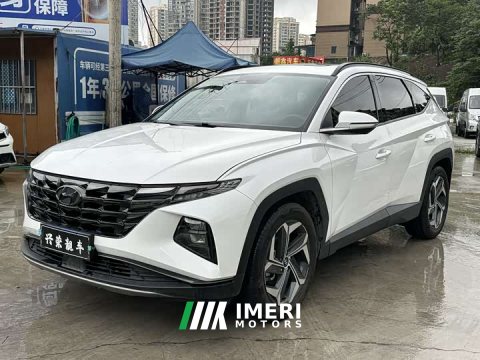2022 2021 Model L 1.5T DCT LUXPremium Edition - автомобиль из Китая