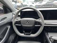 Ruicheng PLUS 1.5T DCT premium - фото 18