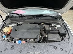 Ruicheng PLUS 1.5T DCT premium - фото 19