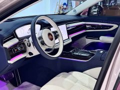 FAW Hongqi Golden Sunflower Guoya 2024 4.0T V8 version - фото 20