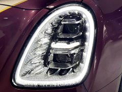 FAW Hongqi Golden Sunflower Guoya 2024 4.0T V8 version - фото 8