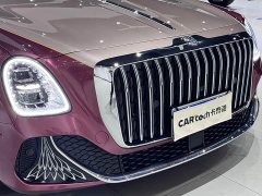FAW Hongqi Golden Sunflower Guoya 2024 4.0T V8 version - фото 9