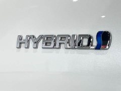 Toyota 2.5L Luxury Edition - фото 10