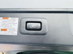 Toyota Alphard Hybrid 2.5L Executive Edition - фото 14