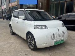 Lexus Euler White Cat 2022 upgraded version 305km luxury ternary lithium - фото 1