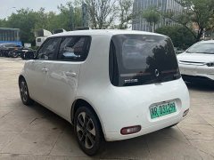 Lexus Euler White Cat 2022 upgraded version 305km luxury ternary lithium - фото 4