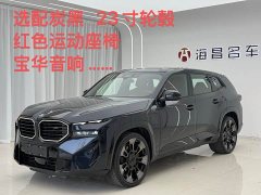 BMW XM Version - фото 1