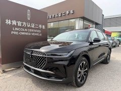 Lincoln Voyager 2025 2.0T four-wheel drive Zunrui version - фото 1
