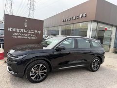 Lincoln Voyager 2025 2.0T four-wheel drive Zunrui version - фото 2
