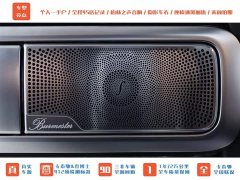Mercedes-Benz GAMG AMG G 63 Edition - фото 8