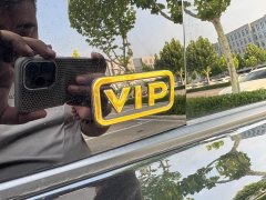 2.5LPHEV FlagshipVIP Edition - фото 20