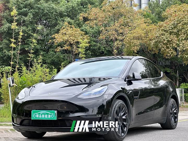 Tesla Model Y Long Range Edition - автомобиль из Китая