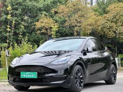 Tesla Model Y Long Range Edition - фото 1