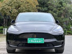 Tesla Model Y Long Range Edition - фото 2