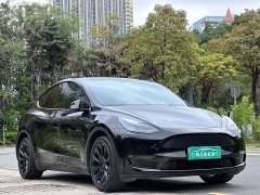 Tesla Model Y Long Range Edition - фото 3