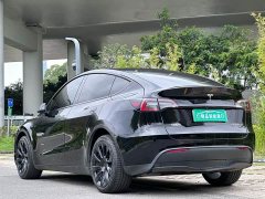 Tesla Model Y Long Range Edition - фото 4