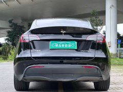 Tesla Model Y Long Range Edition - фото 5