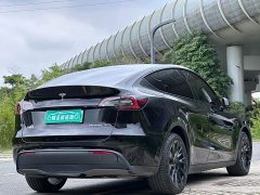 Tesla Model Y Long Range Edition - фото 6