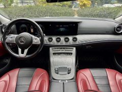 Mercedes-Benz CLS 300 Version - фото 10