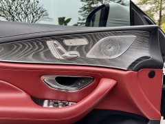 Mercedes-Benz CLS 300 Version - фото 17