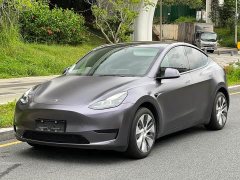 Tesla Model Y Rear-Wheel Drive - фото 1