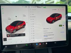 Tesla Model Y Rear-Wheel Drive - фото 15