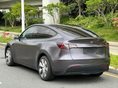 Tesla Model Y Rear-Wheel Drive - фото 5