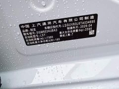 Buick GL8 Land Business Class Comfort DG Edition - фото 3