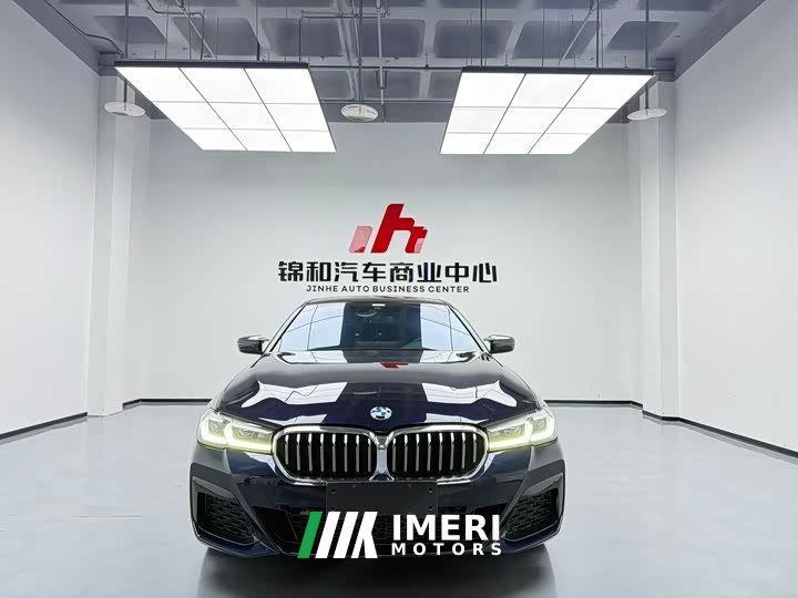 BMW 5 Series 530Li Luxury M Sport Package - автомобиль из Китая