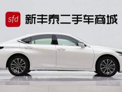 Lexus ES 300h Premium Edition - фото 3