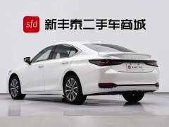 Lexus ES 300h Premium Edition - фото 6