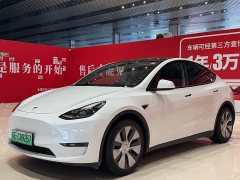 Tesla Model Y Standard Range Rear-Wheel Drive - фото 1