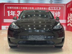 Tesla Model Y 2023 long-range all-wheel drive version - фото 2