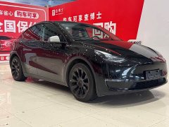 Tesla Model Y 2023 long-range all-wheel drive version - фото 3