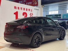 Tesla Model Y 2023 long-range all-wheel drive version - фото 4