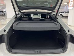 FAW-Volkswagen CC 380TSI eye-catching version - фото 17