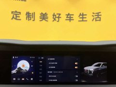 Hongqi E-HS9 2022 690km Qixiang Edition Six-Seater - фото 16